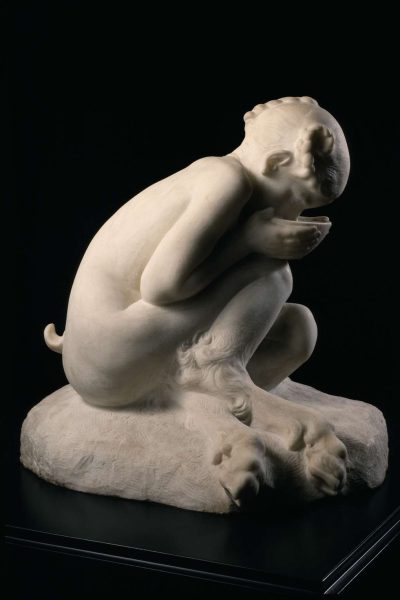 Domenico Trentacoste, Faunetta