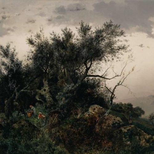 Antonio Leto, La raccolta delle olive